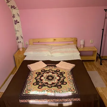 Eko Leo Мини-отель Дудинце