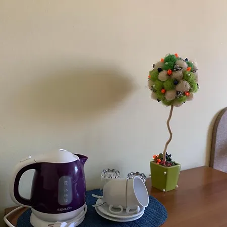 Мини-отель Eko Leo Дудинце