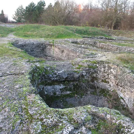 Eko Leo * Dudince